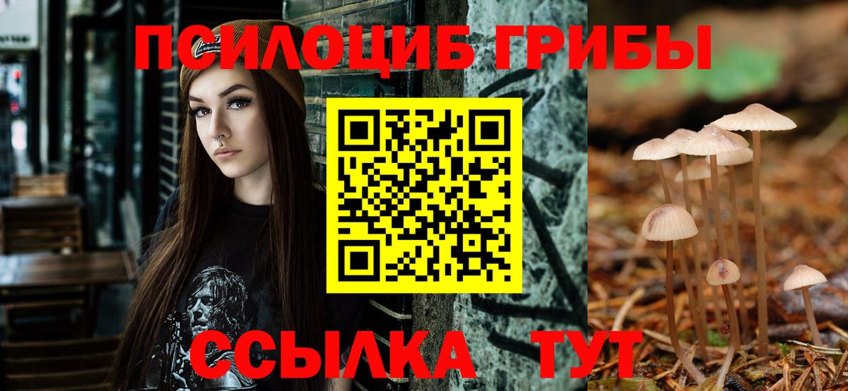 Галлюциногенные грибы Psilocybine cubensis  Псилоцибиновые грибы мицелий  Королёв  Вход с VPN 